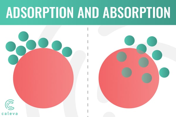 Adsorption and Absorption Process in Wet Granulation Extrusion and Spheronization - Diagram